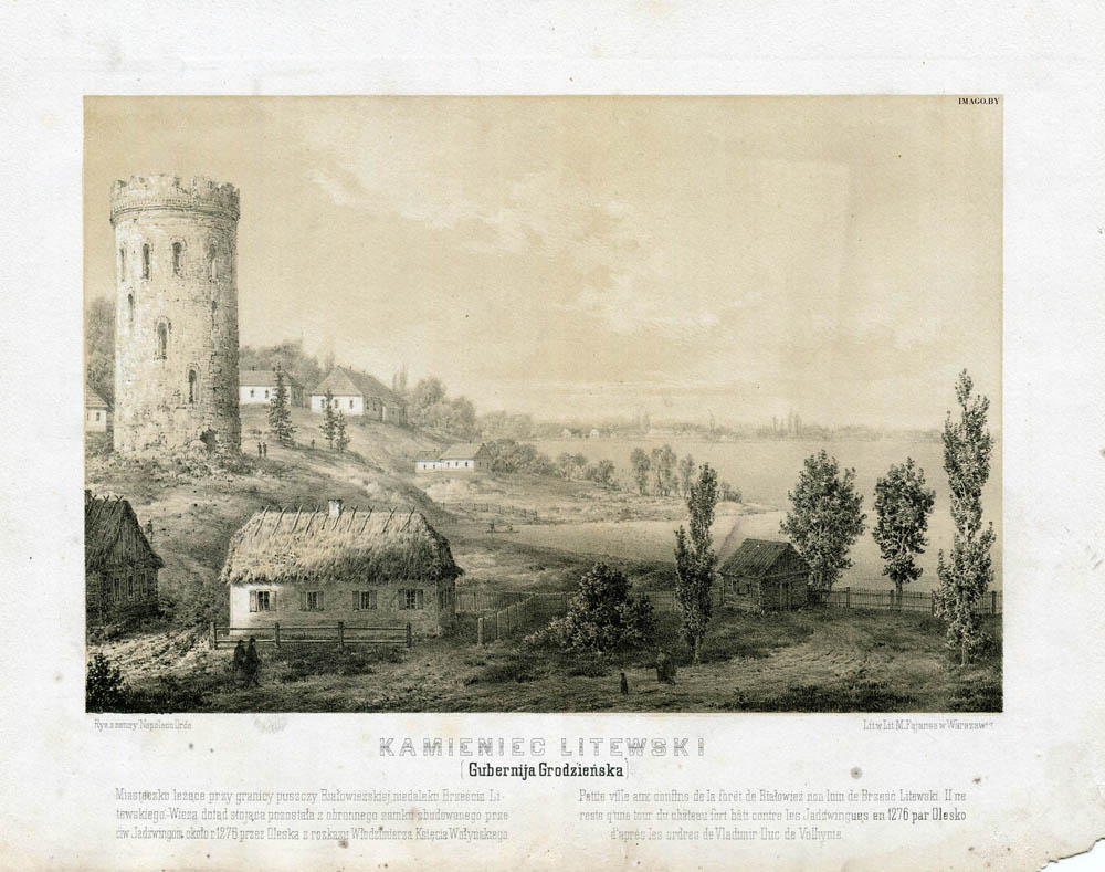 Напалеон Орда, Камянец-Літоўскі  (губ. Гродзенская)