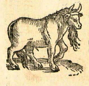 munster-littaw5