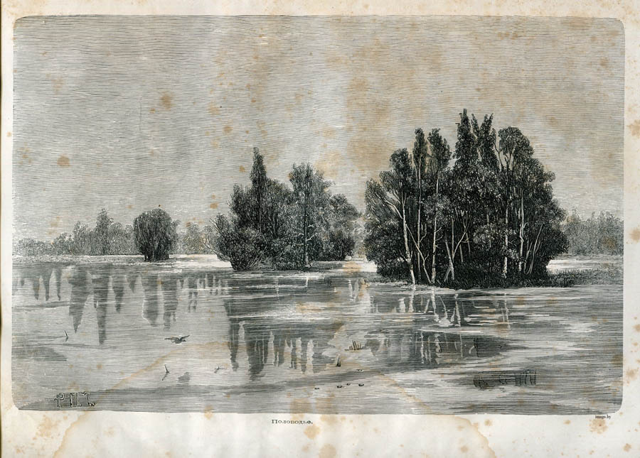 Літоўскае Палессе, Разводдзе